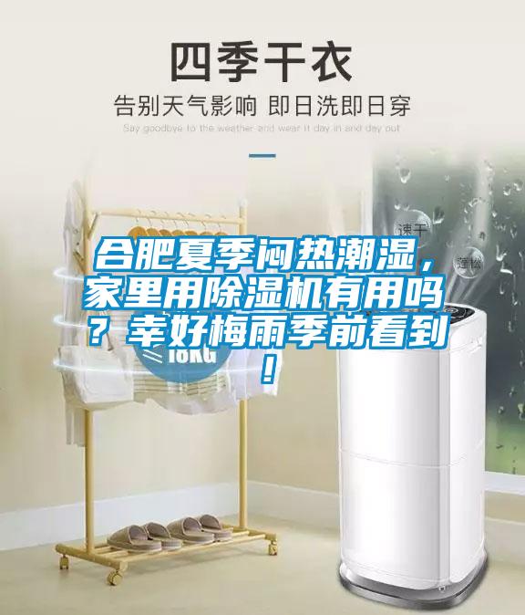 合肥夏季悶熱潮濕，家里用除濕機有用嗎？幸好梅雨季前看到！