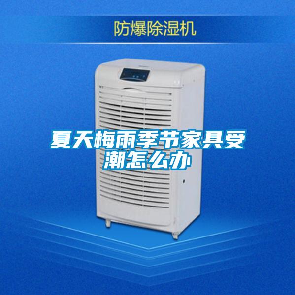 夏天梅雨季節家具受潮怎么辦