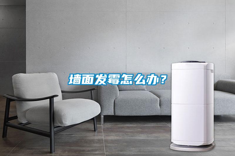 墻面發霉怎么辦？