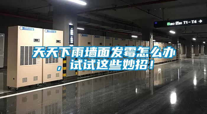 天天下雨墻面發霉怎么辦，試試這些妙招！