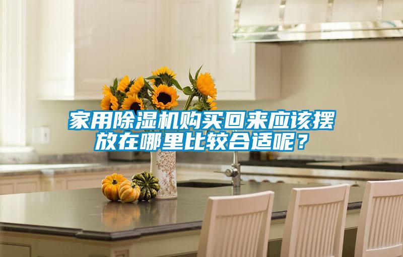 家用除濕機購買回來應(yīng)該擺放在哪里比較合適呢？
