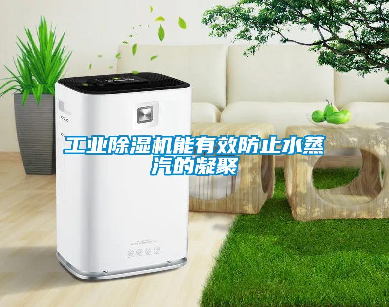 工業除濕機能有效防止水蒸汽的凝聚