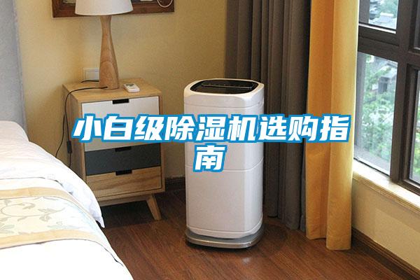 小白級除濕機選購指南