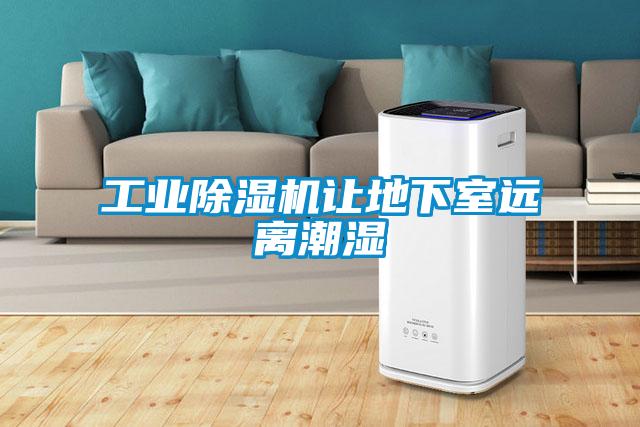 工業(yè)除濕機讓地下室遠(yuǎn)離潮濕