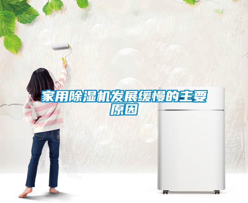 家用除濕機發展緩慢的主要原因