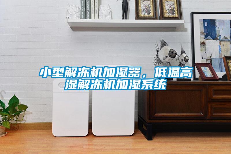 小型解凍機加濕器，低溫高濕解凍機加濕系統