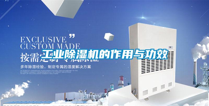 工業(yè)除濕機(jī)的作用與功效