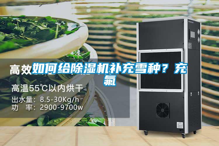如何給除濕機補充雪種？充氟