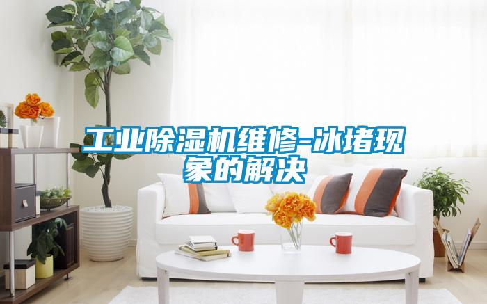 工業除濕機維修-冰堵現象的解決
