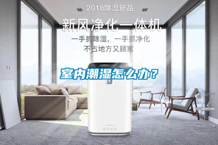 室內潮濕怎么辦？