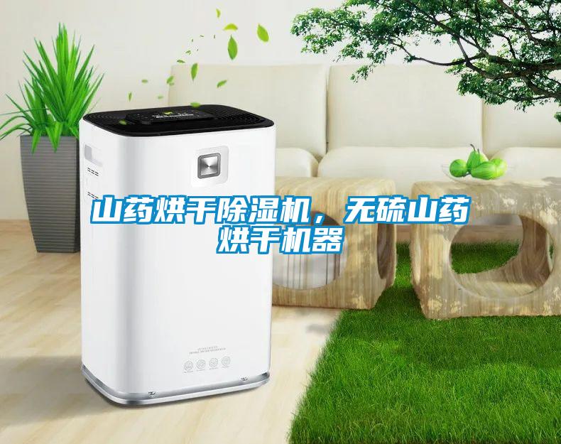 山藥烘干除濕機(jī)，無(wú)硫山藥烘干機(jī)器