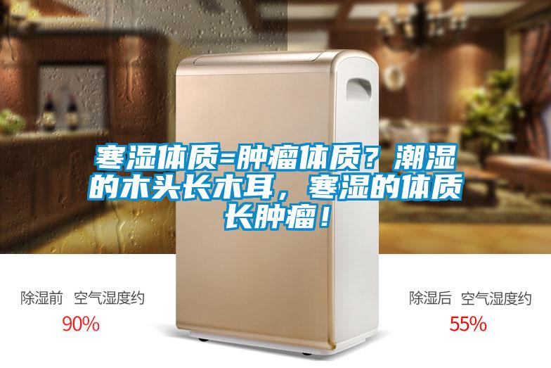 寒濕體質(zhì)=腫瘤體質(zhì)？潮濕的木頭長木耳，寒濕的體質(zhì)長腫瘤！