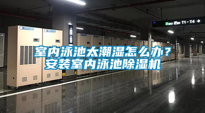 室內泳池太潮濕怎么辦？安裝室內泳池除濕機