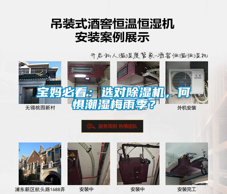 寶媽必看：選對除濕機，何懼潮濕梅雨季？