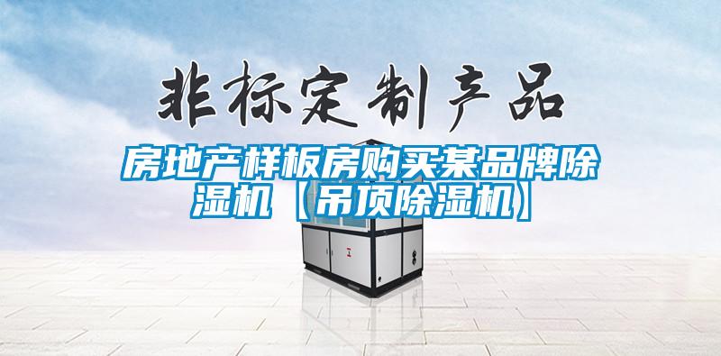 房地產樣板房購買某品牌除濕機【吊頂除濕機】