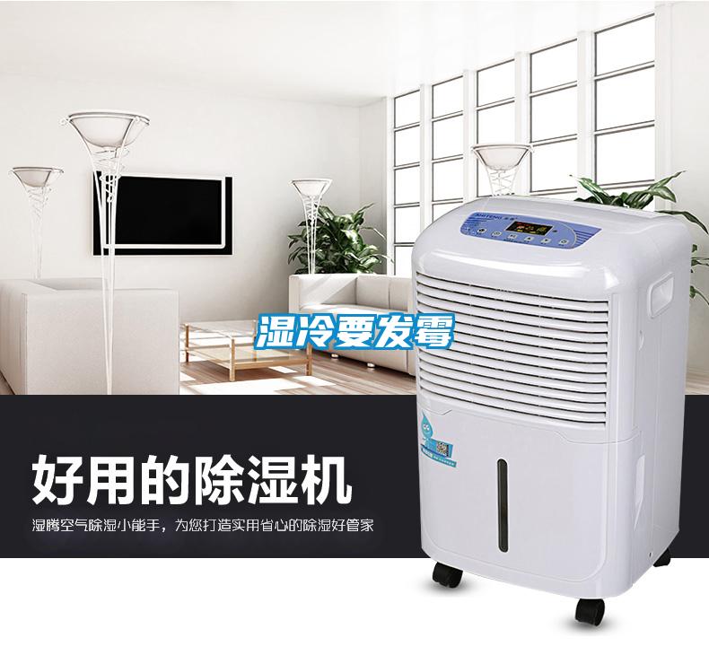濕冷要發霉