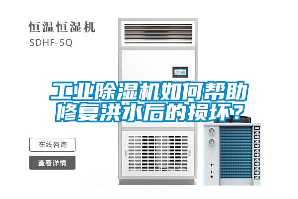 工業(yè)除濕機如何幫助修復(fù)洪水后的損壞？