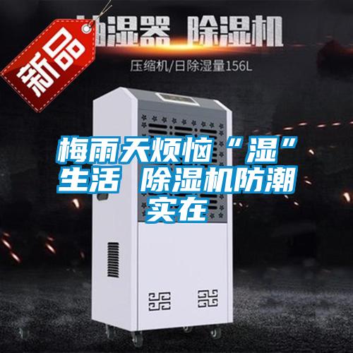 梅雨天煩惱“濕”生活 除濕機(jī)防潮實在