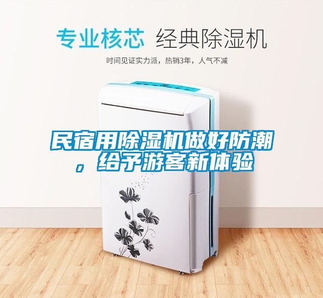 民宿用除濕機做好防潮，給予游客新體驗