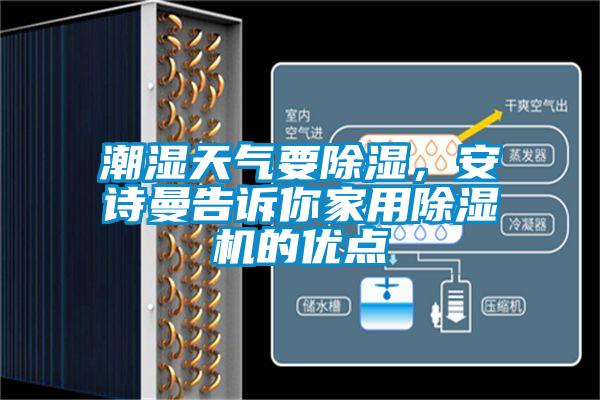 潮濕天氣要除濕，安詩曼告訴你家用除濕機的優點