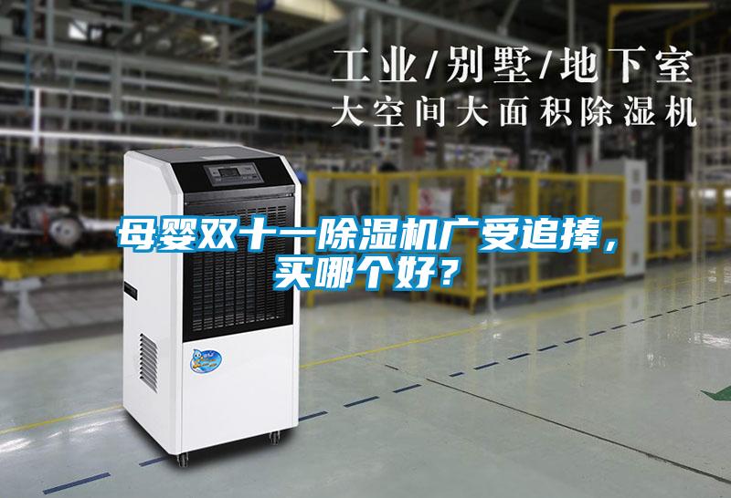 母嬰雙十一除濕機廣受追捧，買哪個好？