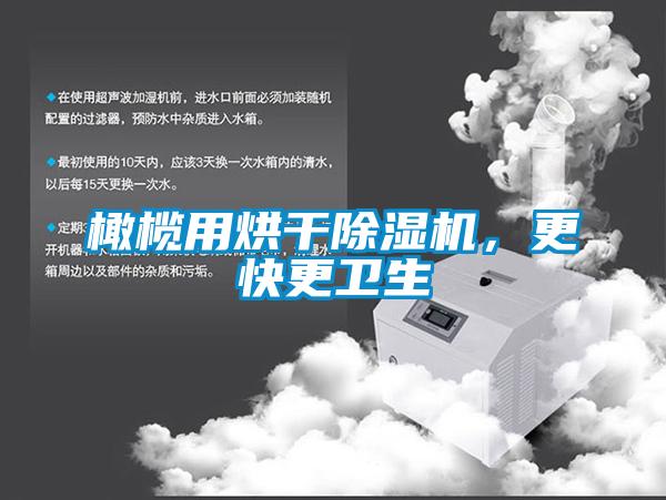 橄欖用烘干除濕機(jī)，更快更衛(wèi)生