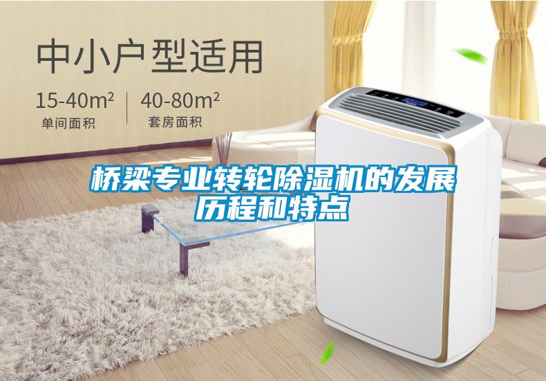 橋梁專業轉輪除濕機的發展歷程和特點