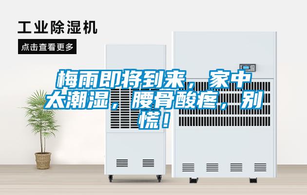 梅雨即將到來，家中太潮濕，腰骨酸疼，別慌！