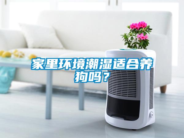 家里環境潮濕適合養狗嗎？