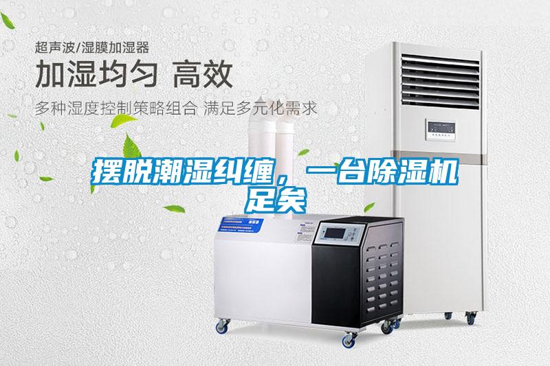 擺脫潮濕糾纏，一臺除濕機足矣