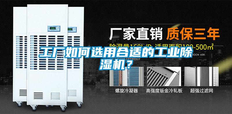 工廠如何選用合適的工業除濕機？