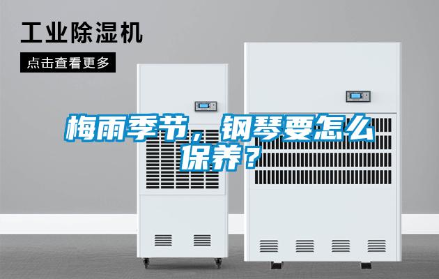 梅雨季節，鋼琴要怎么保養？
