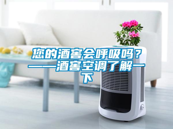 您的酒窖會呼吸嗎？——酒窖空調了解一下
