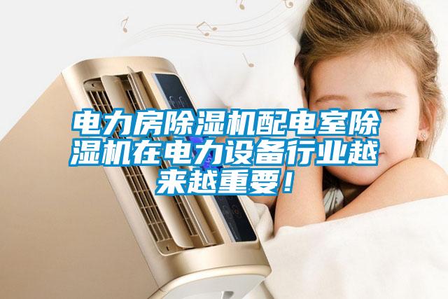 電力房除濕機配電室除濕機在電力設備行業(yè)越來越重要！