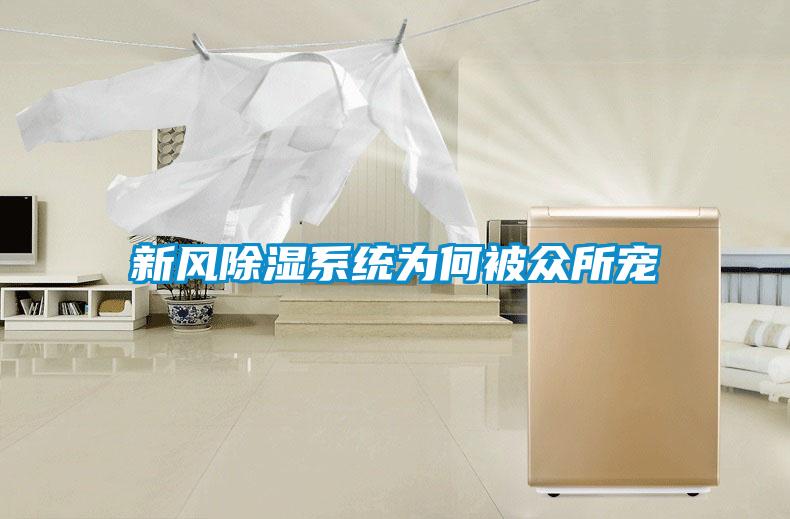 新風除濕系統為何被眾所寵