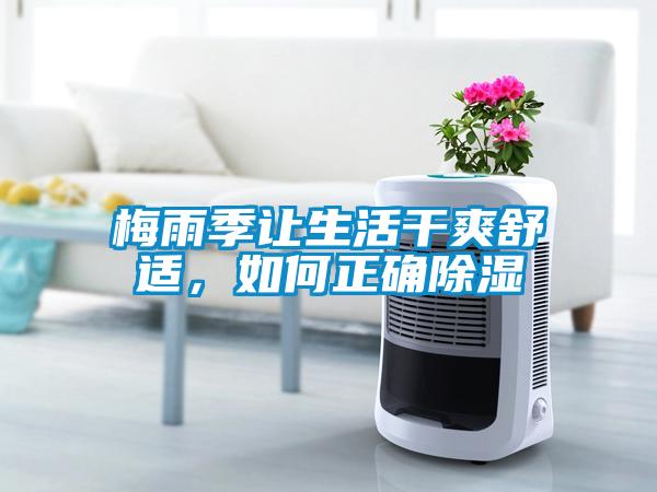 梅雨季讓生活干爽舒適，如何正確除濕