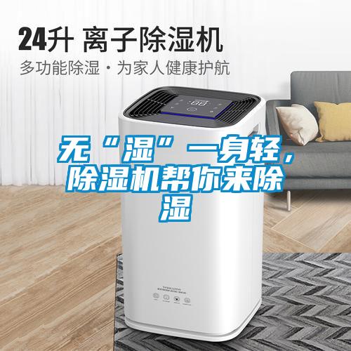 無“濕”一身輕，除濕機(jī)幫你來除濕