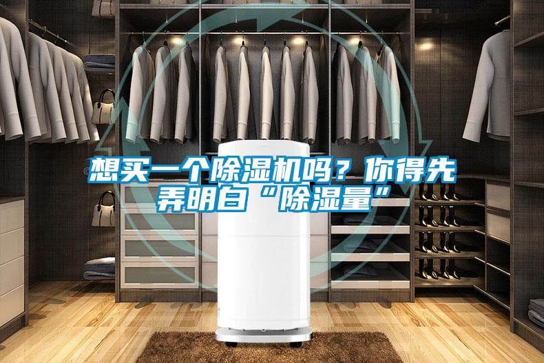想買(mǎi)一個(gè)除濕機(jī)嗎？你得先弄明白“除濕量”
