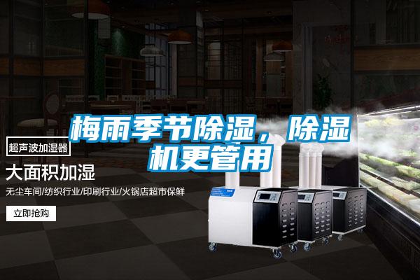 梅雨季節除濕，除濕機更管用