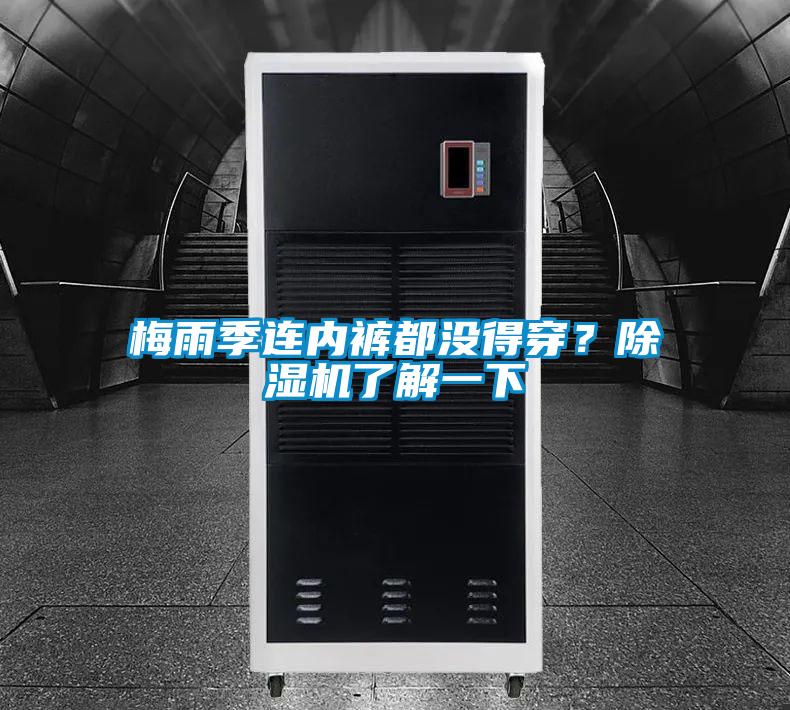 梅雨季連內(nèi)褲都沒得穿？除濕機(jī)了解一下