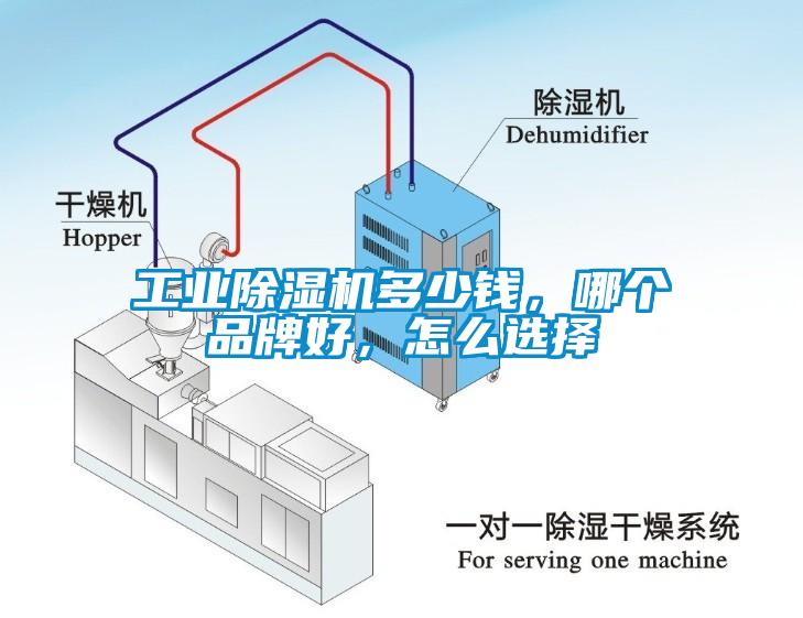 工業(yè)除濕機(jī)多少錢，哪個(gè)品牌好，怎么選擇