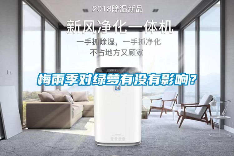梅雨季對綠蘿有沒有影響？