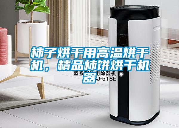 柿子烘干用高溫烘干機,精品柿餅烘干機器