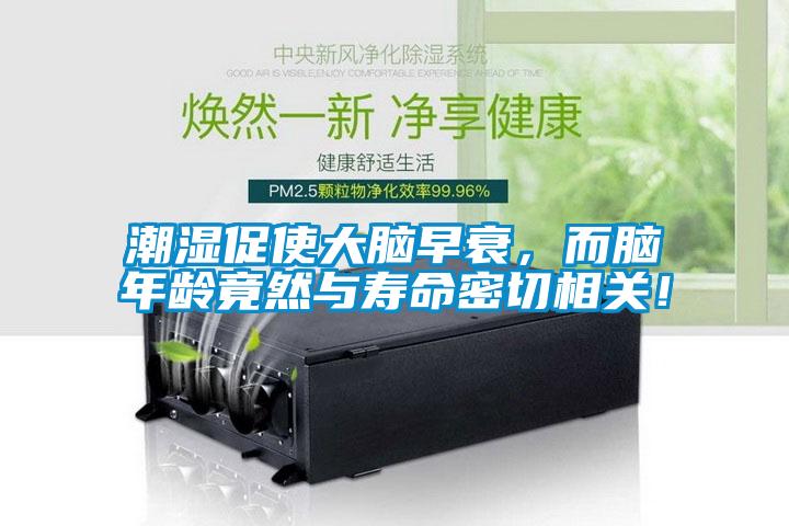 潮濕促使大腦早衰，而腦年齡竟然與壽命密切相關(guān)！