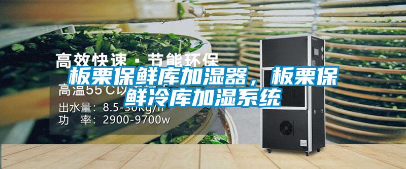 板栗保鮮庫加濕器，板栗保鮮冷庫加濕系統