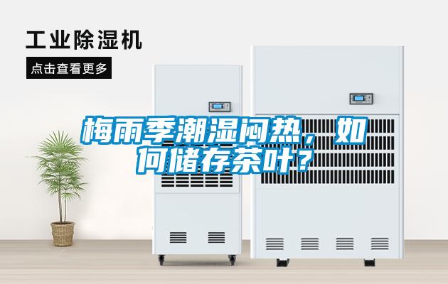 梅雨季潮濕悶熱，如何儲(chǔ)存茶葉？