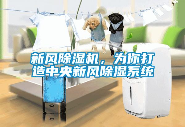 新風除濕機，為你打造中央新風除濕系統