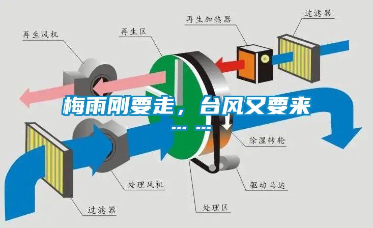 梅雨剛要走，臺風(fēng)又要來……