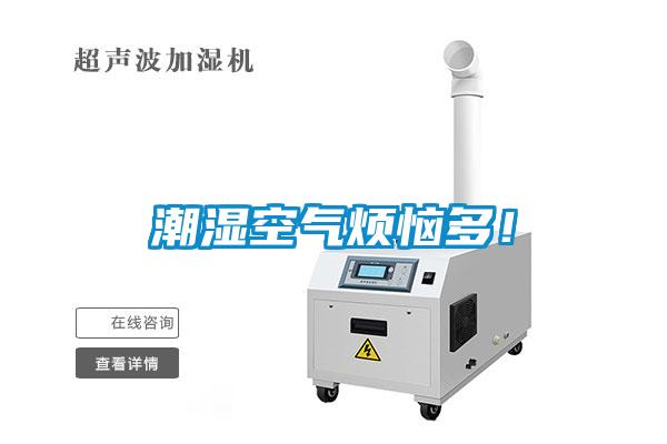 潮濕空氣煩惱多！