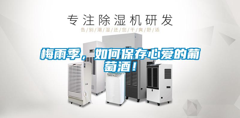 梅雨季，如何保存心愛的葡萄酒！